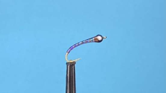 IMG_4635.jpeg