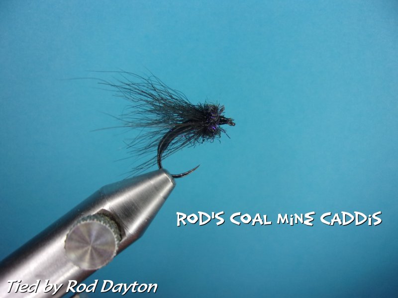 Rod's Coal Mine Caddis .jpg