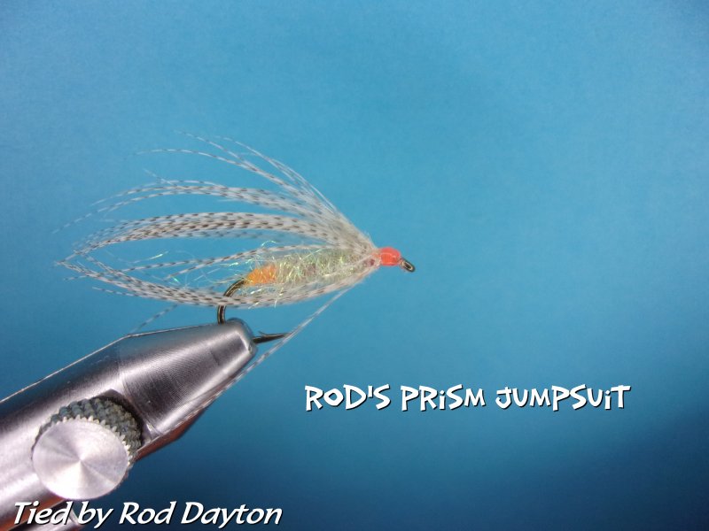 Rod's Prism Jumpsuit .jpg