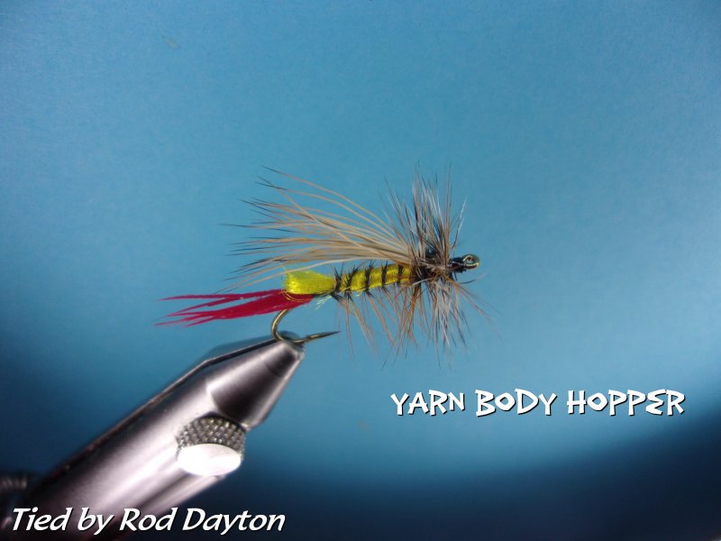 Yarn Body Hopper.jpg