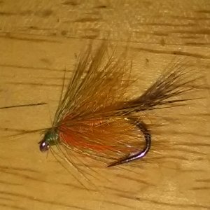 IMG_20181111_234001.jpg